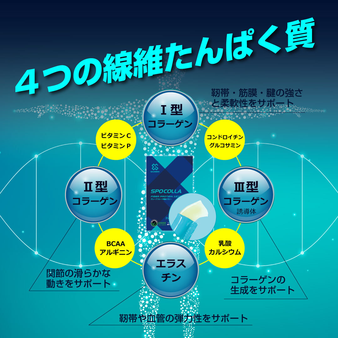 ������ۥ��ݥ���10%OFF ���ץ쥼���(10�ܥ��å�)