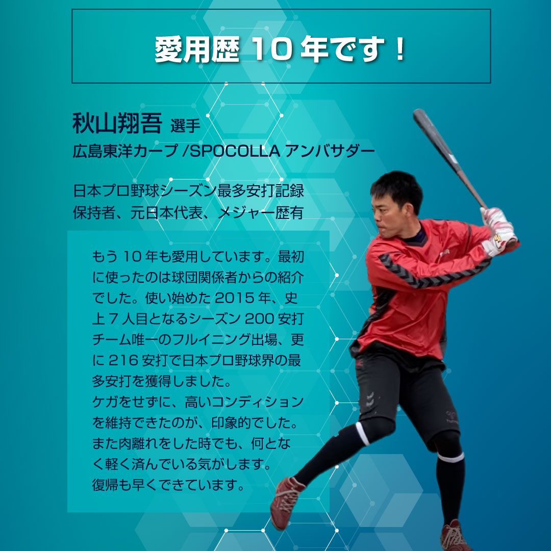 ������ۥ��ݥ���10%OFF ���ץ쥼���(10�ܥ��å�)