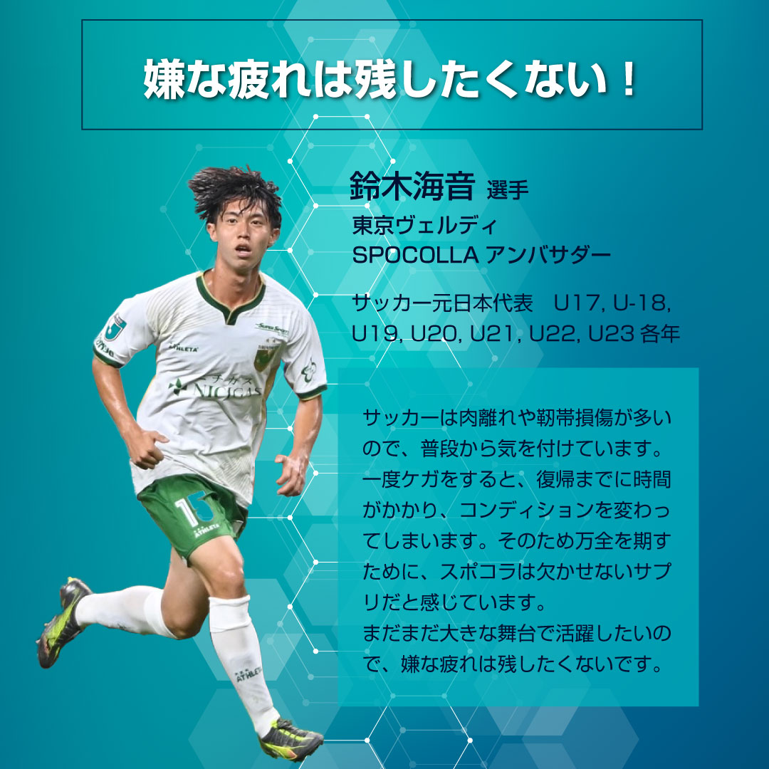 ������ۥ��ݥ���10%OFF ���ץ쥼���(10�ܥ��å�)