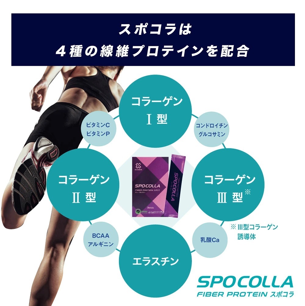 ������ۥ��ݥ���ʥ��졼��̣��10%OFF/3�ĤΥ��顼���� ���饹�����۹� ���ݡ��ĥ��ƥ��å����꡼