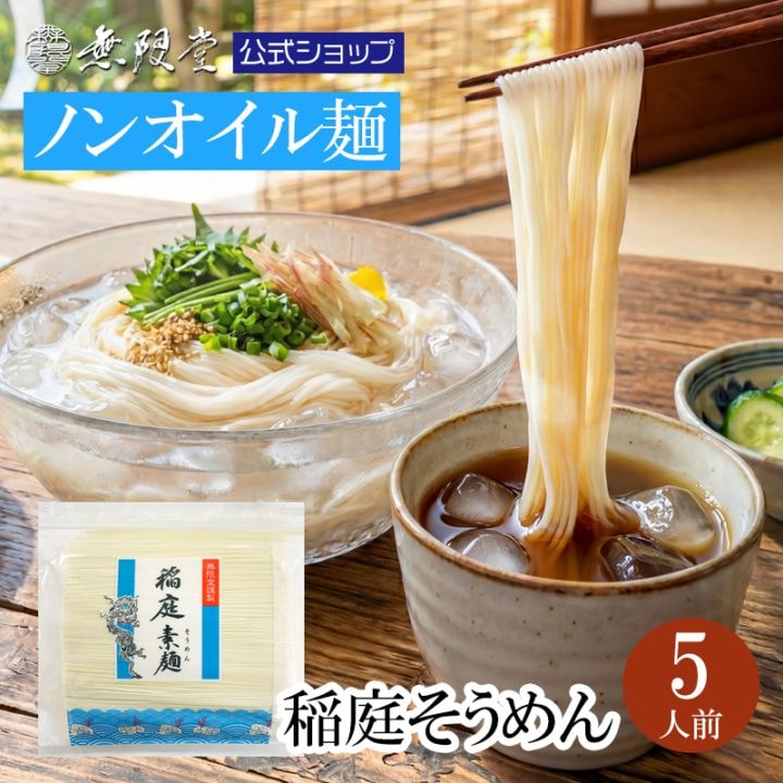 稲庭そうめん 訳あり お徳用切り落とし麺 500g(約5人前)【送料無料】