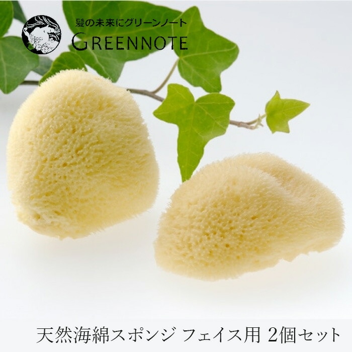 フェイス用スポンジ グリーンノート 天然海綿スポンジ フェイス用 2個セット 正規品 保存料不使用 天然 ナチュラル GREEN NOTE スポンジ