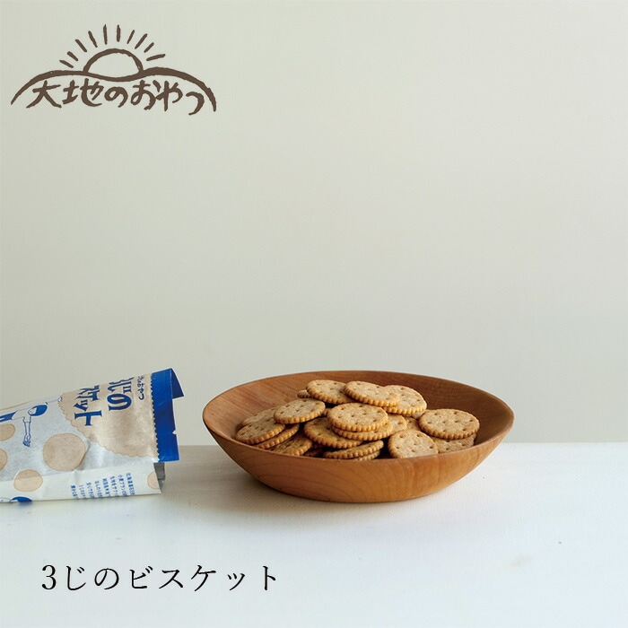ビスケット 大地のおやつ 3じのビスケット 140g 正規品 国内産 保存料 無添加   遺伝子組み換え原料不使用 自然 山本佐太郎商店
