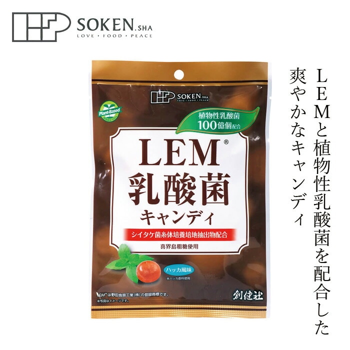 飴 創健社 LEM乳酸菌キャンディ 63g（個包装込み） 正規品 国内産   保存料 無添加