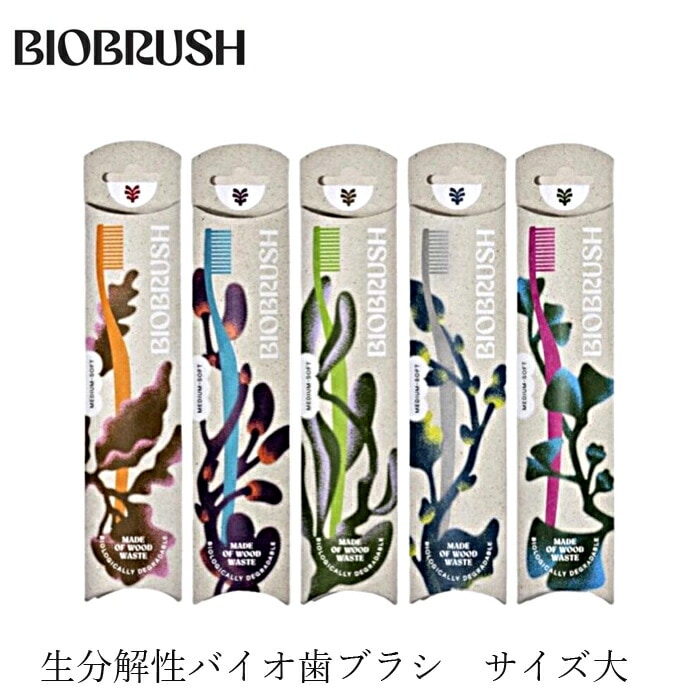 歯ブラシ オーガニック バイオブラシ ベルリン サイズ大 無添加 正規品 歯磨き粉 デンタルケア 歯みがき粉 ノンケミカル サスティナブル 生分解性プラスチック エコ