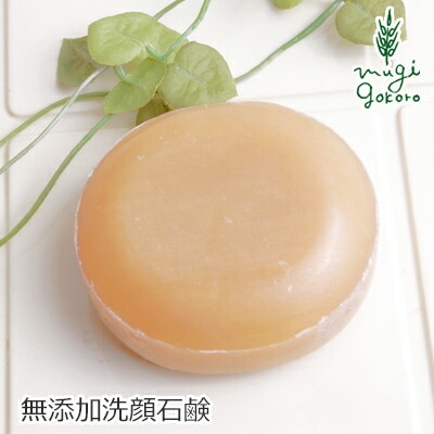 洗顔 無添加 グローバルビューティー マイルドソープ 100g オーガニック 正規品 洗顔石けん 石鹸 スキンケア 天然 ナチュラル ノンケミカル 自然