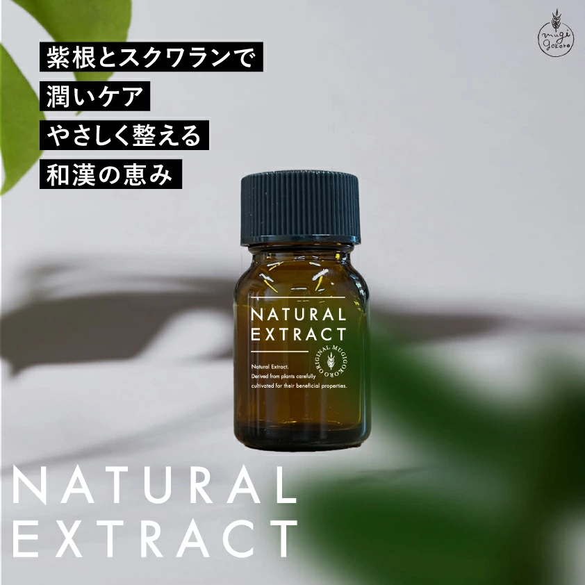 美容エキス 無添加 むぎごころのシコンエキス10ml 化粧品原料 ナチュラル ノンケミカル 植物性保湿 国産充填 シンプル処方 生詰めシリーズ
