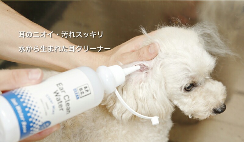 耳 洗浄液 無添加 A.P.D.C イヤークリーンウォーター ＜スプレータイプ＞100ｍl ペット用 耳洗浄液 オーガニック 正規品 APDC 天然 ナチュラル 水無し 自然 犬用