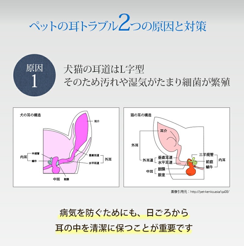 耳 洗浄液 無添加 A.P.D.C イヤークリーンウォーター ＜スプレータイプ＞100ｍl ペット用 耳洗浄液 オーガニック 正規品 APDC 天然 ナチュラル 水無し 自然 犬用