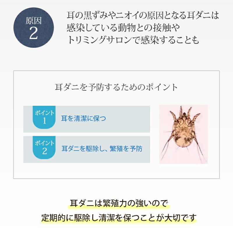 耳 洗浄液 無添加 A.P.D.C イヤークリーンウォーター ＜スプレータイプ＞100ｍl ペット用 耳洗浄液 オーガニック 正規品 APDC 天然 ナチュラル 水無し 自然 犬用