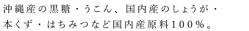 生姜湯 創健社 沖縄産うこん入り黒糖しょうが湯 100g（20g×5袋） 正規品 国内産   保存料 無添加