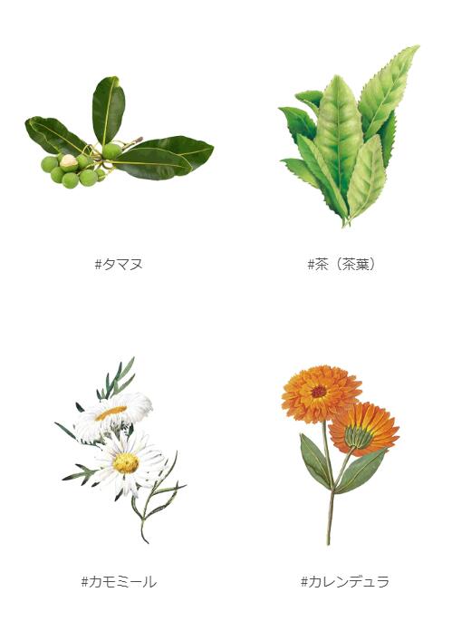 リキッドファンデーション 無添加 UlaUla ウラウラ ブライトニングセラムファンデーション 25g オーガニック 正規品 メイク 天然 ナチュラル ノンケミカル 自然 ナチュラルメイク 時短メイク ライトオークル オークル ヘルシーオークル