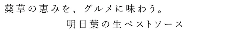 あしたばソース manma naturals あしたばソース 正規品 保存料 無添加 明日葉ソース 明日葉 ヴィーガン 万能ソース あしたば パスタソース 植物性 マンマナチュラルズ オーガニック