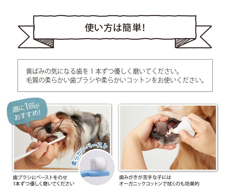 犬用 歯磨き粉 オーガニック made of Organics for Dog　オーガニック ホワイトニング トゥースペースト ピーチ味 50g 無添加 正規品 メイドオブオーガニクス フォードッグ 天然 ナチュラル 犬用