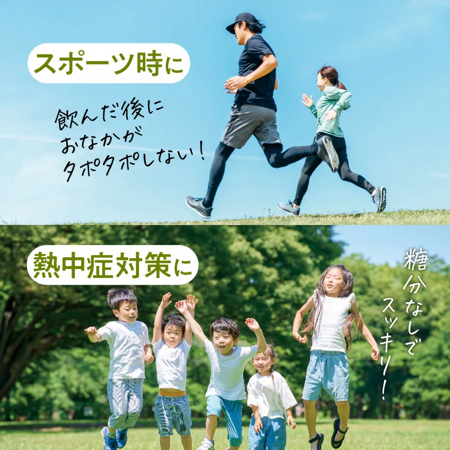 水出しオーガニック緑茶 クアントバスタ KYUSHU RYOKU茶 60g 有機JAS認定品 オーガニック緑茶 カフェインレス 水分補給 スポーツ ナチュラル 自然 天然 QuantoBasta