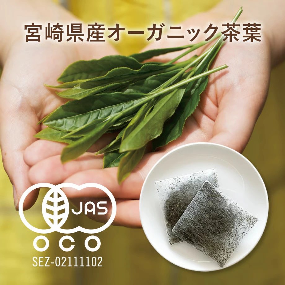 水出しオーガニック緑茶 クアントバスタ KYUSHU RYOKU茶 60g 有機JAS認定品 オーガニック緑茶 カフェインレス 水分補給 スポーツ ナチュラル 自然 天然 QuantoBasta