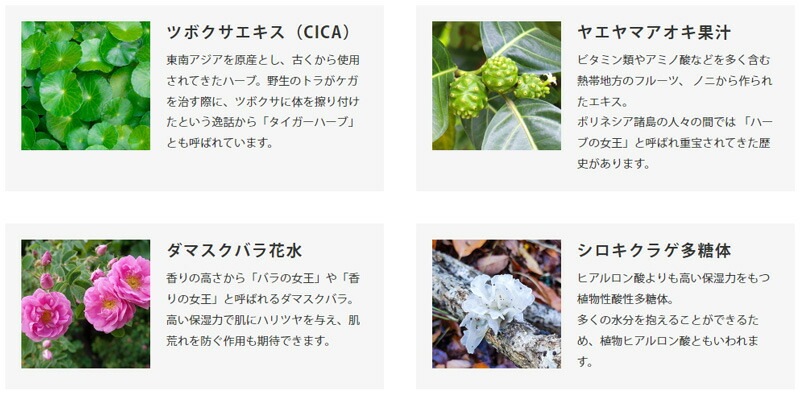 潤滑剤 ボディローション 無添加 アンティームオーガニック INTIME ORGANIQUE アンティーム ローズ ローション 100ml 潤滑 オーガニック 正規品 ボディローション 天然 ナチュラル 性交痛 専用 vio