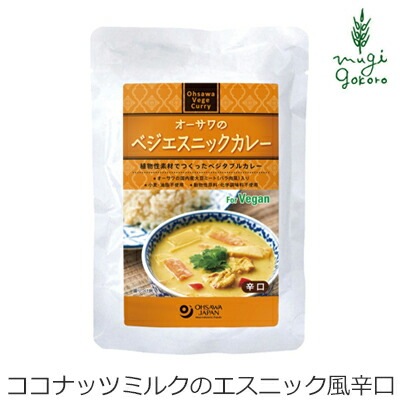 レトルトカレー 保存料 無添加 オーサワジャパン オーサワのベジエスニックカレー 170g  正規品   保存料 無添加