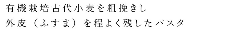 スパゲッティ 創健社 ジロロモーニ 古代小麦グラツィエッラ・ラ 有機スパゲッティ セミインテグラーレ 400g 正規品 オーガニック 有機 有機JAS   保存料 無添加   パスタ