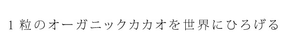 チョコレート GEPAビオ マスコバドホワイトチョコレート 100g 正規品 オーガニック 保存料 無添加 フェアトレード ノンケミカル 自然 マスコバド糖 カカオ