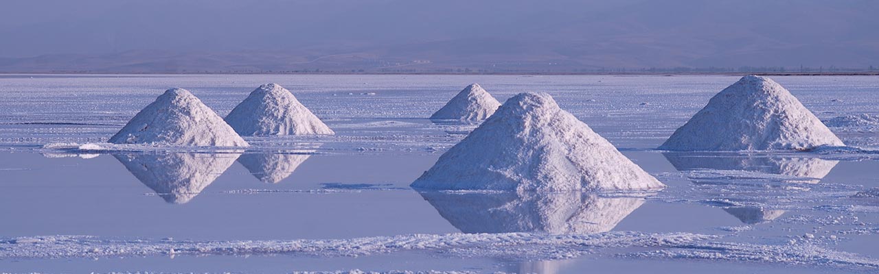 入浴剤 ニニ ハーブバスソルト アロマミックス 340g 無添加 無農薬 正規品 天然 ナチュラル ノンケミカル 自然 美人肌 Organic nini