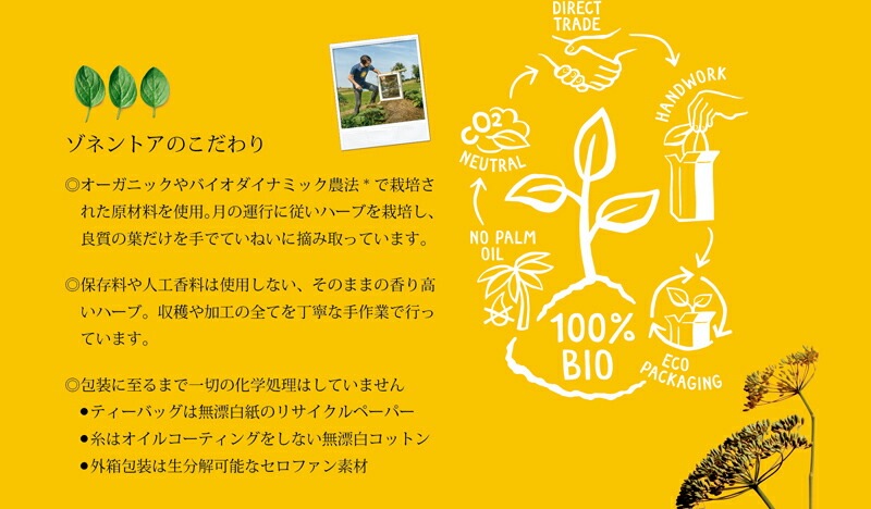 ゾネントア sonnentor ヒルデガルトのお茶 呼吸のお茶 1.5g×18袋 ハーブティー 正規品 オーガニック 保存料 無添加 アーユルヴェーダ 無農薬 有機 紅茶   自然 ノンケミカル