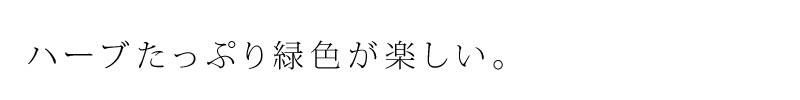 歯磨き粉 オーガニック ロゴナ（LOGONA） キッズ ミント はみがきジェル 50ml 子供用 正規品 無添加 歯みがき 歯みがき粉 キッズ 子供 子ども 歯磨き 天然