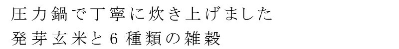 レトルトご飯 オーサワジャパン オーサワの発芽玄米ごはん（雑穀入り）160g 保存料 無添加 正規品 国内産 有機   有機活性発芽玄米 非常食 防災食