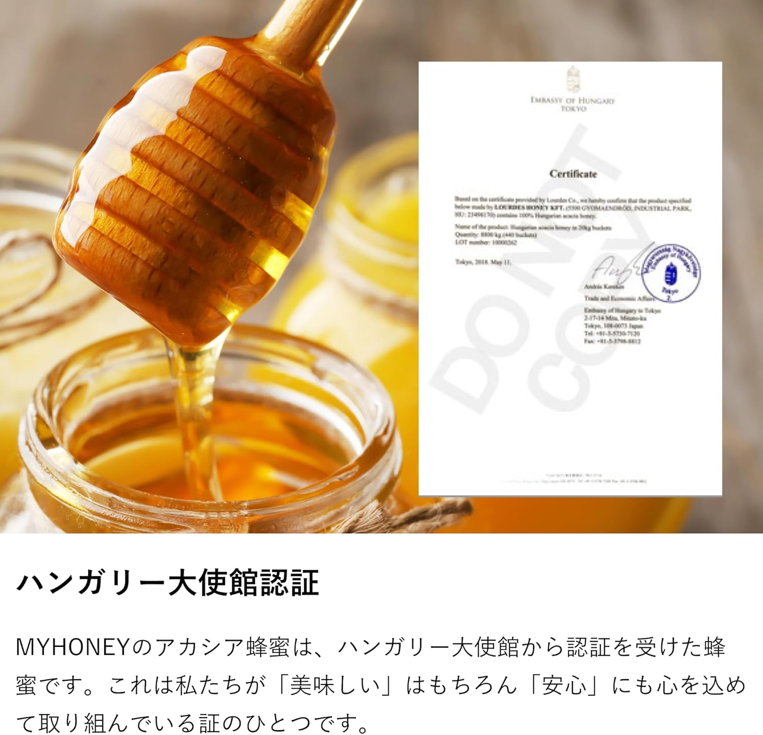 はちみつナッツ my Honey ナッツの蜂蜜漬け エトワール L(200g) 正規品 日本製 ハニーナッツ 砂糖不使用 ハンガリー産アカシアはちみつ アーモンド ヘーゼルナッツ ピスタチオ パンプキンシード ハンドメイド スーパーフード マイハニー