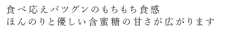 長期保存パン ノースカラーズ オーガニック小麦のもっちりパン プレーン 1個 82g オーガニック 動物性原料不使用 正規品 国内産 保存料 無添加  NorthColors 常温保存可能 ヴィーガン 保存食