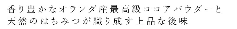 チョコペースト my Honey  ハニーショコラＬ (200g) 正規品 日本製 オランダ産最高級ココア ハンガリー産アカシアはちみつ  スーパーフード チョコレート マイハニー