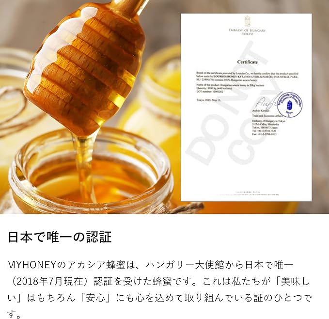チョコペースト my Honey  ハニーショコラＬ (200g) 正規品 日本製 オランダ産最高級ココア ハンガリー産アカシアはちみつ  スーパーフード チョコレート マイハニー