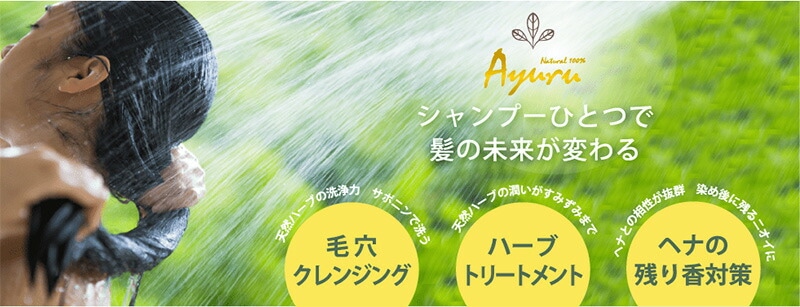 粉末シャンプー グリーンノートアユール ネイチャーウォッシュ ハーブシャンプー 単品 100g リンス不要 ノーマル しっとり さっぱり 正規品 泡立たないシャンプー ノンシリコン 界面活性剤、香料、保存料不使用 天然 ナチュラル GREEN NOTE