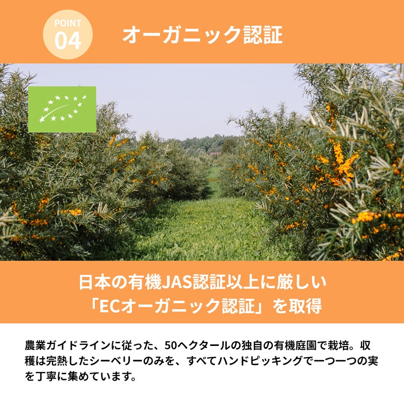 サジージュース だいじょうぶなもの 北欧産プレミアム シーベリージュース 500mL 正規品 オーガニック サジー 無添加 保存料不使用 原液 希釈用 栄養豊富 スーパーフルーツ ラトビア産 マリヤ種 えぐみがない 低温加工 美容 健康 美肌 エイジングケア