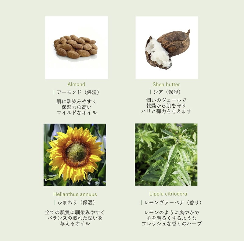 スキンクリーム 無添加 ルアモ ルアモ ベーシック スキンクリーム 50ml ひざ かかと 全身 オーガニック ナチュラル ノンケミカル 自然 スキンケア 天然 爽やかな ヴァーベナの香り 家族で使える 男女兼用