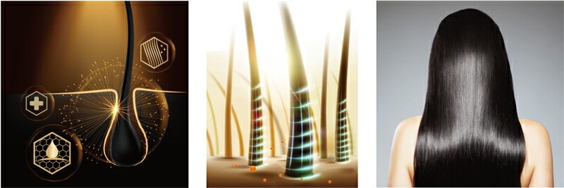 シャンプー ノンシリコン シズージュ スキンレメディ コンプリートシャンプー 詰替え用 300ml SHIZOOJU オーガニック 無添加 正規品 石けん シソ 天然 ナチュラル ノンケミカル 自然 エイジングケア