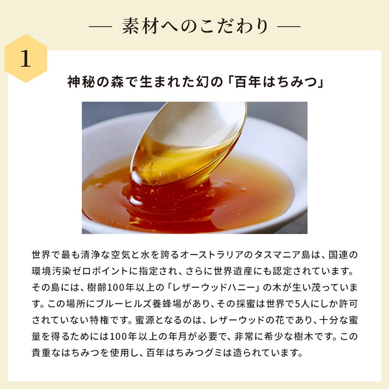 グミ だいじょうぶなもの 百年はちみつグミ シーベリー味 49g 正規品 チャック付き サジー レザーウッドハニー 無添加 保存料不使用 栄養豊富 ギルトフリー スーパーフルーツ マリヤ種 えぐみがない 美容 健康 お菓子 おやつ 持ち歩き サジーグミ