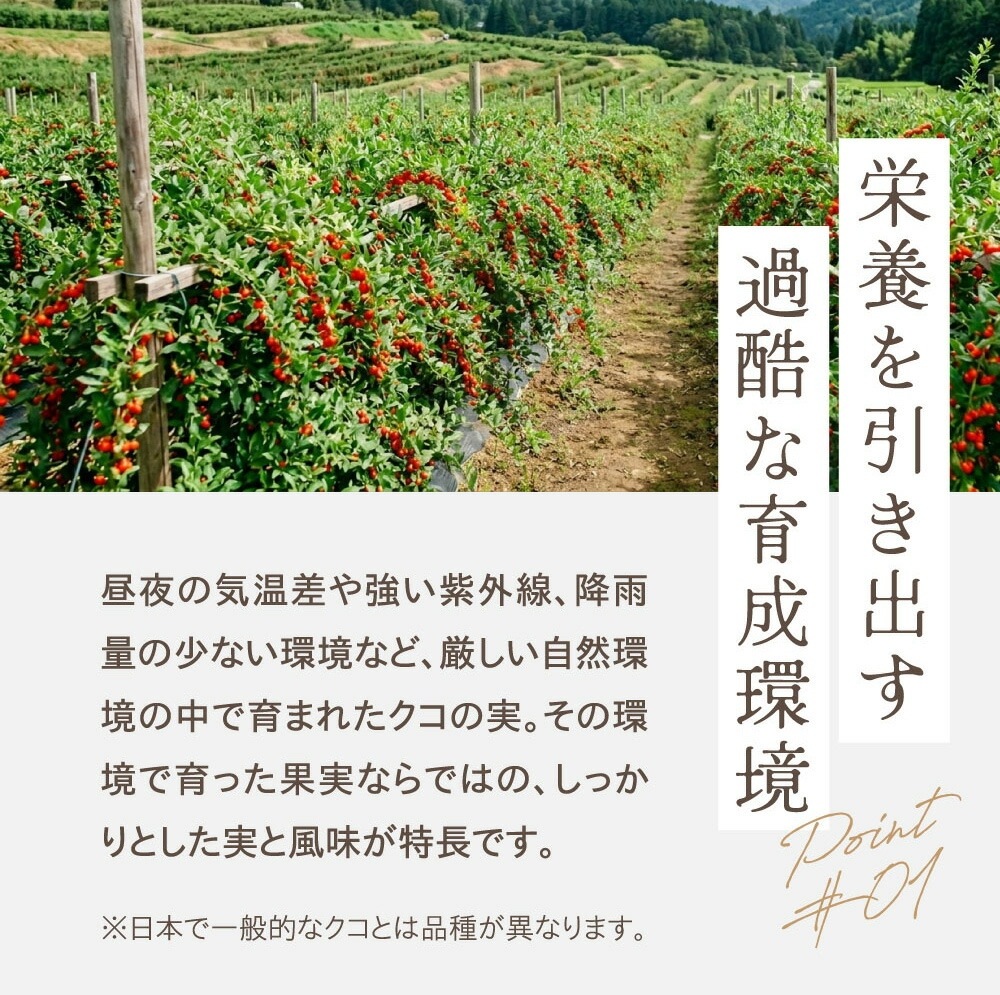 クコの実 無農薬 保存料 無添加 むぎごころのオーガニッククコの実 100g 購入金額別特典あり オーガニック 自然 ドライフルーツ 薬膳
