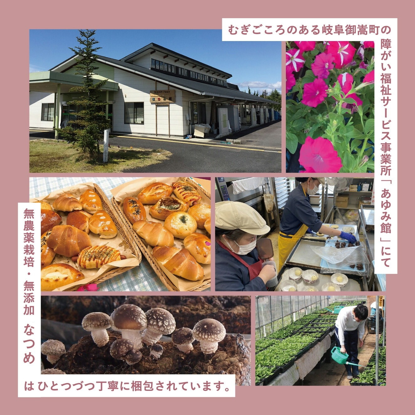 クコの実 無農薬 保存料 無添加 むぎごころのオーガニッククコの実 100g 購入金額別特典あり オーガニック 自然 ドライフルーツ 薬膳
