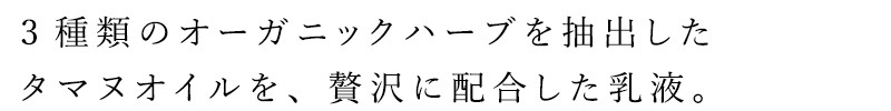 クレイパック 無添加 タマヌオイルインクレイパック沖縄県産クチャ 40g オーガニック ナチュラル ノンケミカル 自然 スキンケア 天然 Natural Essence TAMANU すまエコ タマヌ 泥パック フェイスパック