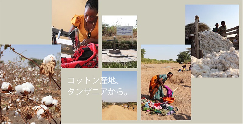 フェイシャルコットン シシフィーユ スキンケアコットン 90枚入 正規品 オーガニック 無添加 無農薬 無漂白 ノンケミカル ナチュラル オーガニックコットン  フェイスコットン  sisiFILLE