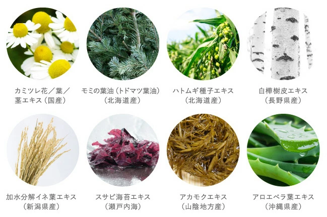 薬用トリートメント 凜恋（リンレン）薬用スカルプケア トリートメント カモミール＆モミ 400mL 購入金額別特典あり 正規品 ヘアケア 天然 自然 ナチュラル 植物由来成分 ノンシリコン 年齢に応じたケア 頭皮ケア フケ 痒み 血行促進 育毛 rinRen