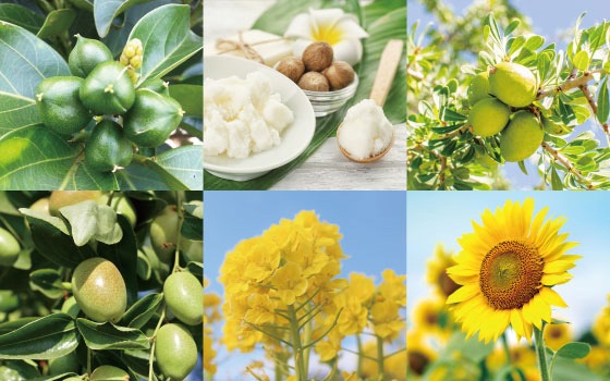 ヘアミスト 化粧水 無添加 IT ALL NATURAL（イットオールナチュラル） ライヴリーミスト 100ml ダメージヘア オーガニック 正規品 スキンケア 天然 ナチュラル ノンシリコン 自然 サロンクオリティー