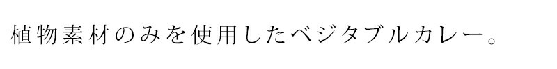 レトルトカレー 創健社 ベジタブルカレー（中辛）（レトルト） 210g 正規品    保存料 無添加