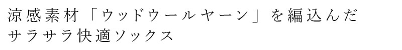 靴下 ウッドウールヤーン チュールレースソックス 正規品 日本製 シアーソックス シアー靴下 接触冷感 吸汗機能 夏用ソックス パンプスソックス WOOD WOOL YARN