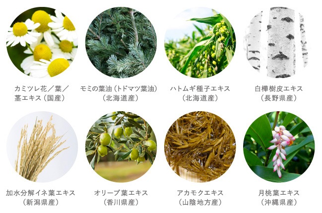 薬用シャンプー 凜恋（リンレン）薬用スカルプケア シャンプー カモミール＆モミ 400mL 購入金額別特典あり 正規品 ヘアケア 天然 自然 ナチュラル 植物由来成分 ノンシリコン ハリ コシ 年齢に応じたケア 頭皮ケア フケ 痒み 血行促進 育毛 rinRen