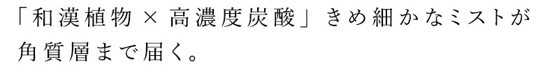 化粧水 無添加 イエル スパークリング モイスチャーミスト 100g IERU オーガニック 正規品 敏感肌 天然 ナチュラル ノンケミカル 自然 HERBAL SKINCARE