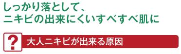 アクネバリア 薬用プロテクトメイククリア 100g×3本セット クレンジング 【アクネバリア】 ≪購入金額別特典あり≫ ニキビ オーガニック 無添加 ■正規品■ 石澤研究所 医薬部外品 スキンケア メイク落とし 化粧落とし ニキビ ニキビ跡 消し