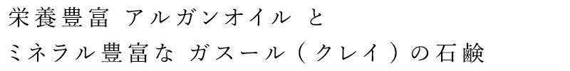 石鹸 無添加 レミオ アルガン クレイ石鹸 100g 正規品 洗顔 アルガンオイル クレイ ボディケア アルガン 天然 ナチュラル ノンケミカル 自然 オーガニック認証取得 remio