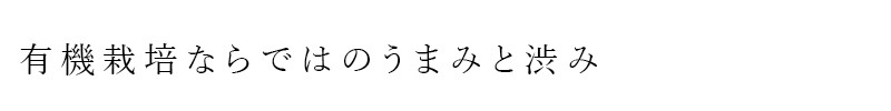 お茶 創健社 有機ほうじ茶（PET）330ml 正規品 国内産 無農薬 有機栽培 有機JAS認定品 お茶 ペットボトル